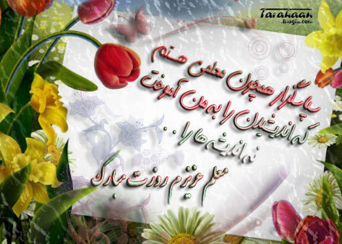 AWT IMAGE